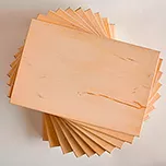 L1